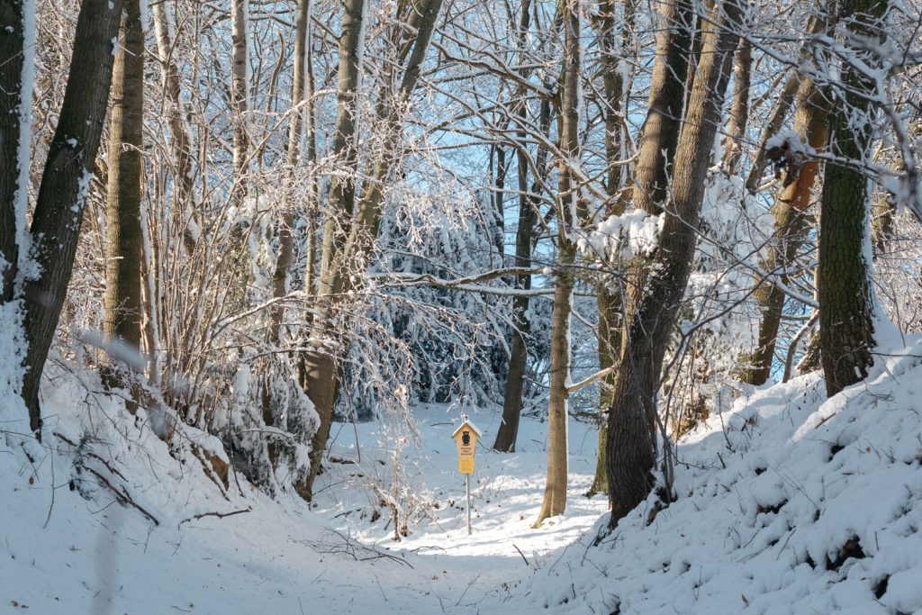 Verschneiter Waldweg mit Schild "Flächennaturdenkmal Geilsa"