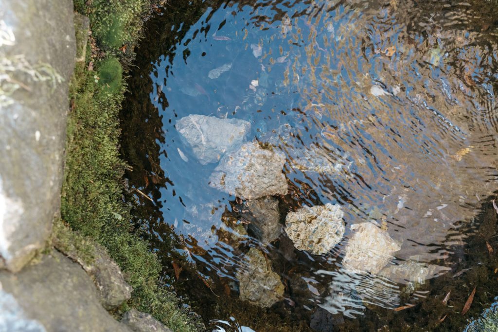 Blick in die Güldequelle zeigt Wasser, Moos und Steine.