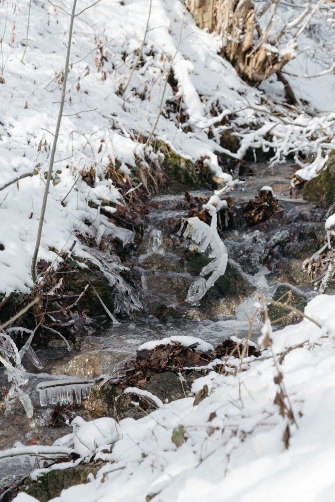 kleiner Bach im Winter mit vereisten Ästen 