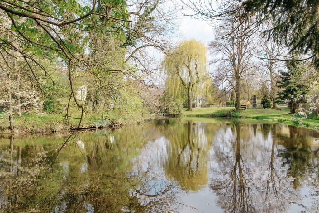 Burgteich in Löhma umgeben von Bäumen 